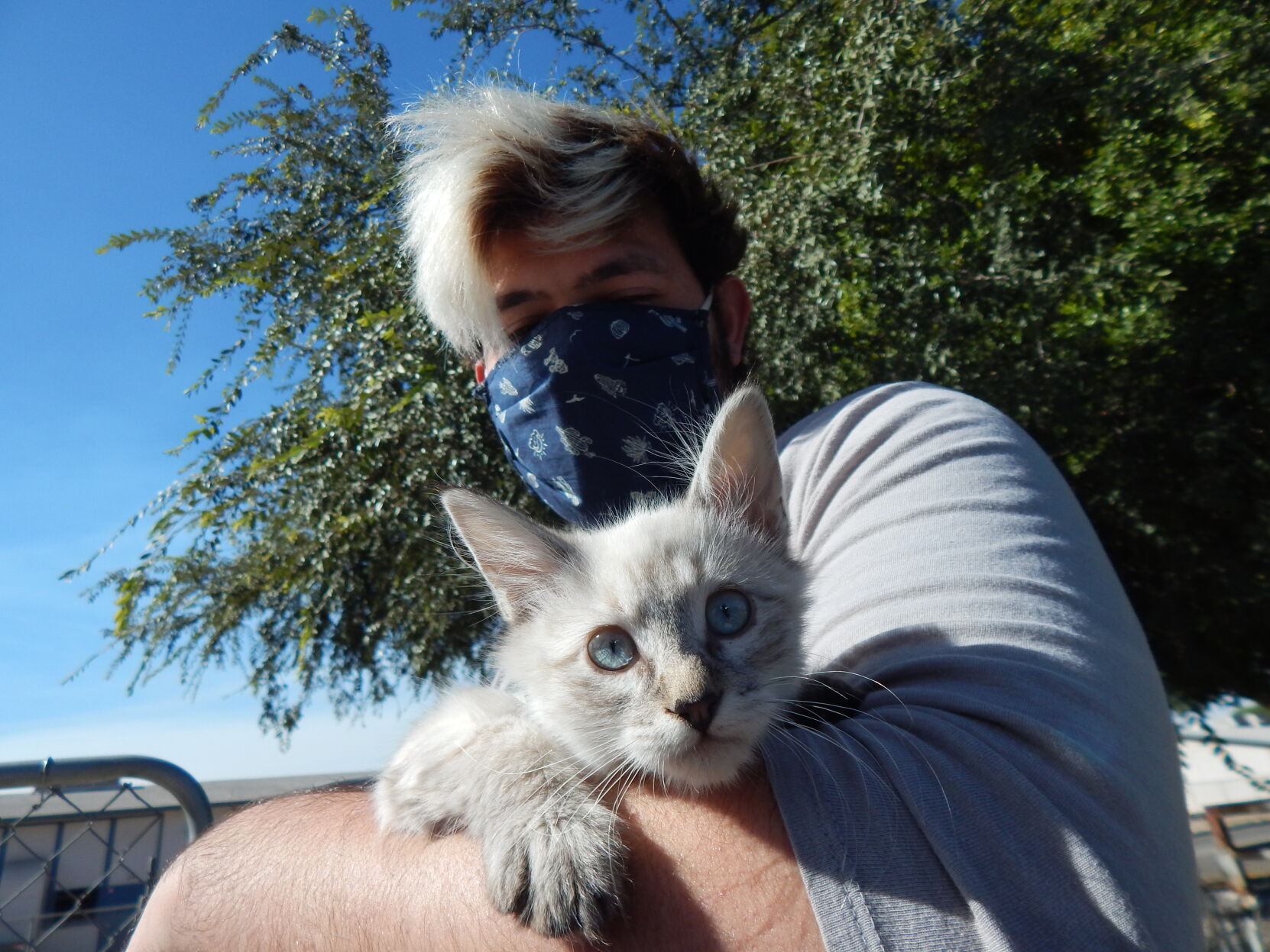 TooCuteKittens6